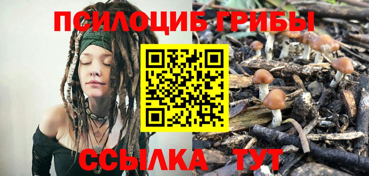Донской  Галлюциногенные грибы MAGIC MUSHROOMS  Вход с VPN  Псилоцибиновые грибы мицелий 